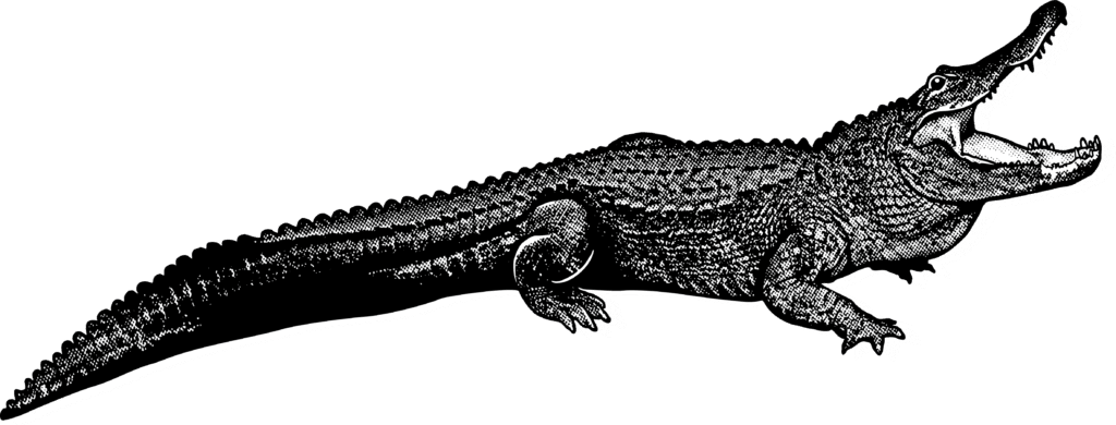 GATOR